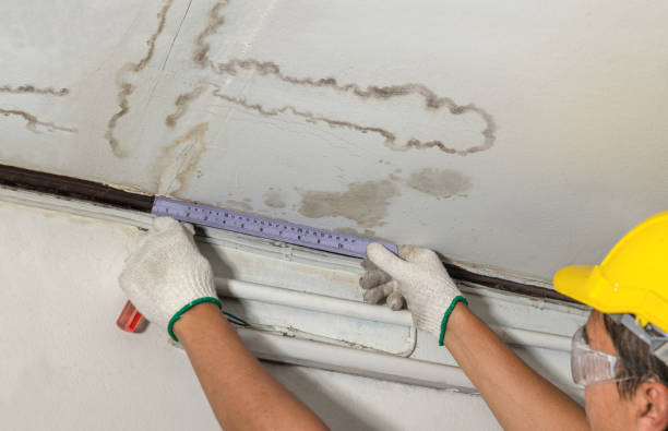 Reliable Emergency Water Damage Restoration contractor in Silver Spring, MD by Water Damage Irwin